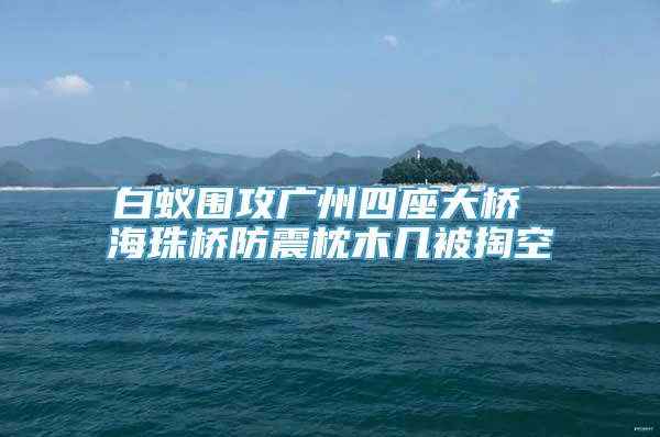 白蚁围攻广州四座大桥 海珠桥防震枕木几被掏空