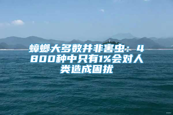 蟑螂大多数并非害虫：4800种中只有1%会对人类造成困扰