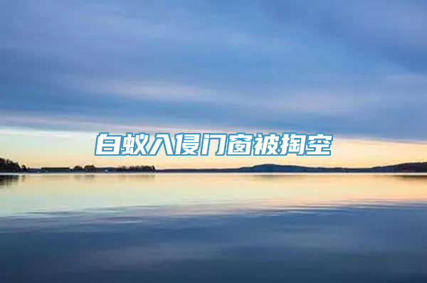 白蚁入侵门窗被掏空