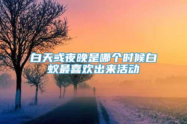 白天或夜晚是哪个时候白蚁最喜欢出来活动