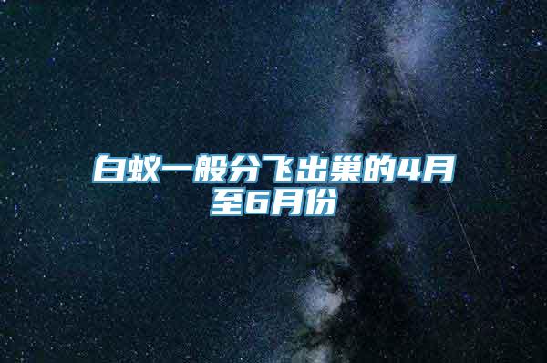 白蚁一般分飞出巢的4月至6月份