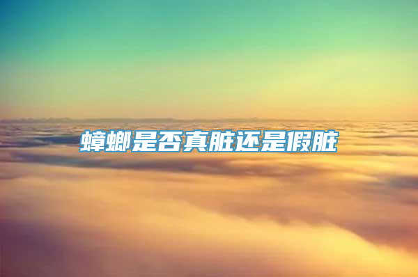 蟑螂是否真脏还是假脏