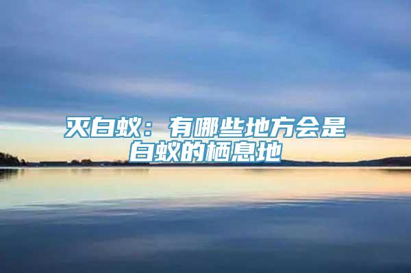 灭白蚁：有哪些地方会是白蚁的栖息地