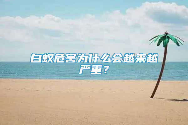 白蚁危害为什么会越来越严重？