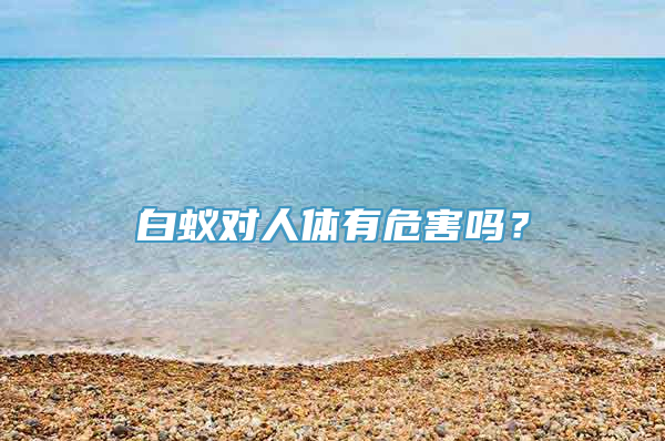 白蚁对人体有危害吗？