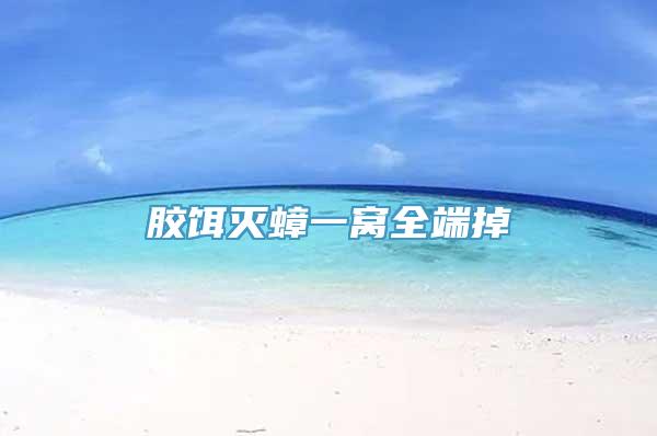胶饵灭蟑一窝全端掉