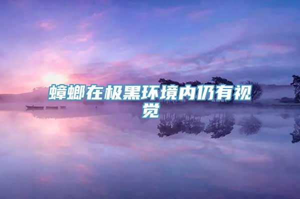 蟑螂在极黑环境内仍有视觉