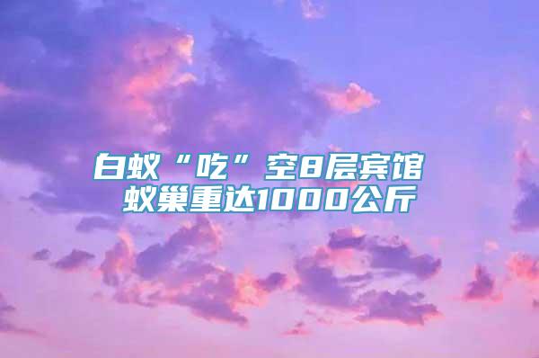 白蚁“吃”空8层宾馆 蚁巢重达1000公斤