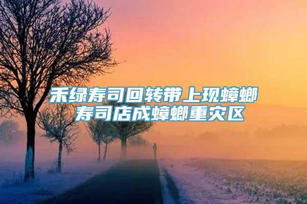 禾绿寿司回转带上现蟑螂 寿司店成蟑螂重灾区