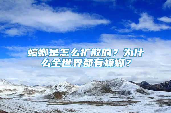 蟑螂是怎么扩散的？为什么全世界都有蟑螂？