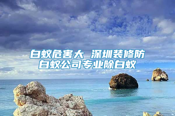 白蚁危害大 深圳装修防白蚁公司专业除白蚁