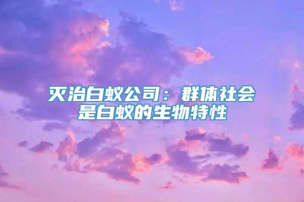 灭治白蚁公司：群体社会是白蚁的生物特性