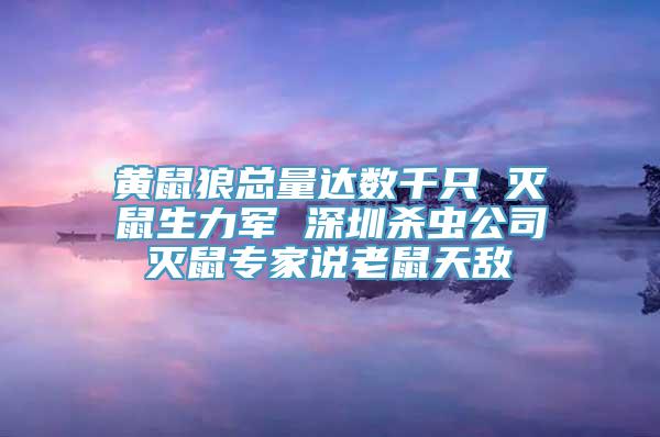 黄鼠狼总量达数千只 灭鼠生力军 深圳杀虫公司灭鼠专家说老鼠天敌