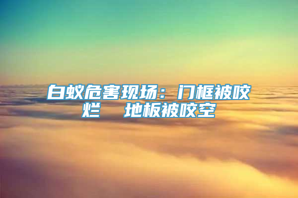 白蚁危害现场：门框被咬烂  地板被咬空