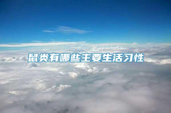 鼠类有哪些主要生活习性