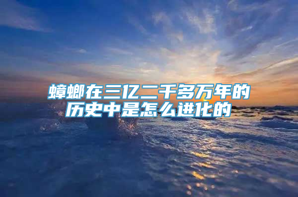 蟑螂在三亿二千多万年的历史中是怎么进化的