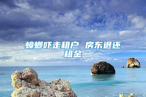 蟑螂吓走租户 房东退还租金