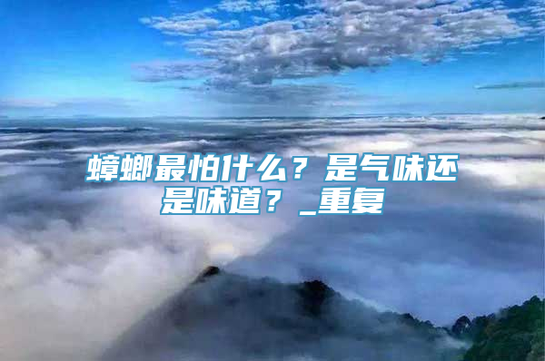 蟑螂最怕什么？是气味还是味道？_重复