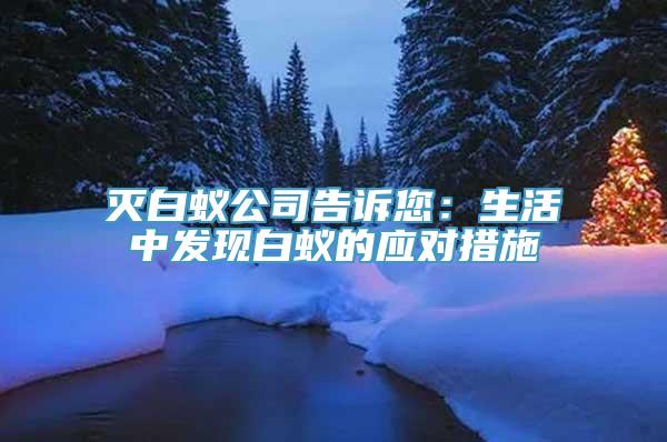 灭白蚁公司告诉您：生活中发现白蚁的应对措施