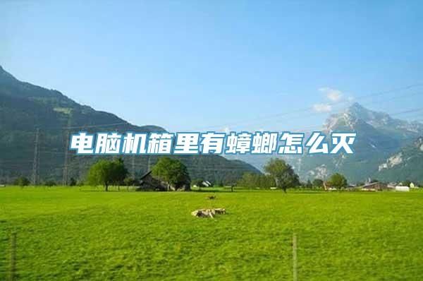 电脑机箱里有蟑螂怎么灭