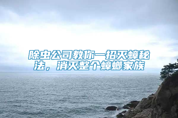 除虫公司教你一招灭蟑秘法，消灭整个蟑螂家族