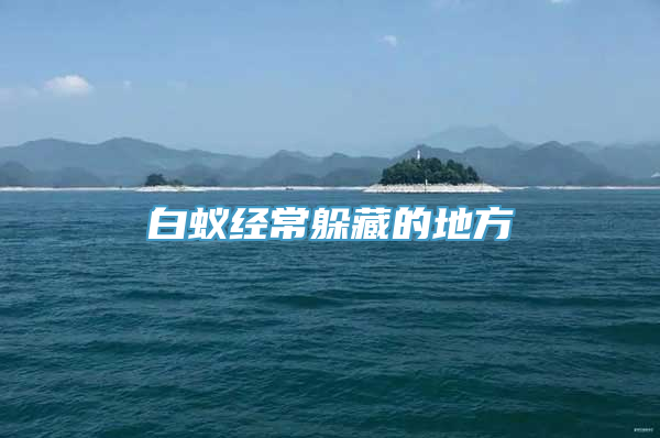 白蚁经常躲藏的地方