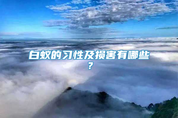 白蚁的习性及损害有哪些？