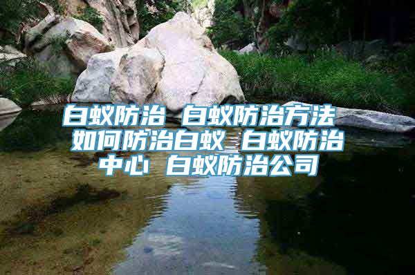 白蚁防治 白蚁防治方法 如何防治白蚁 白蚁防治中心 白蚁防治公司