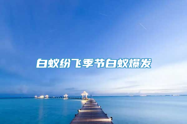 白蚁纷飞季节白蚁爆发