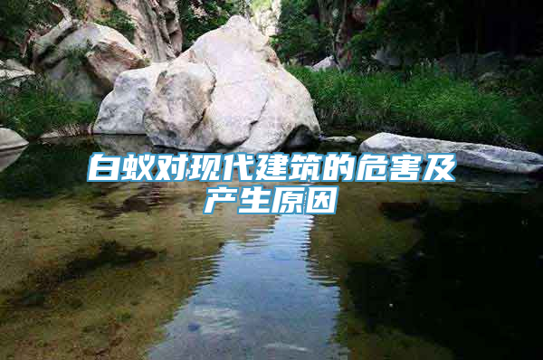 白蚁对现代建筑的危害及产生原因