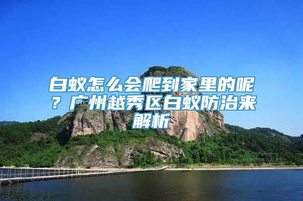 白蚁怎么会爬到家里的呢？广州越秀区白蚁防治来解析