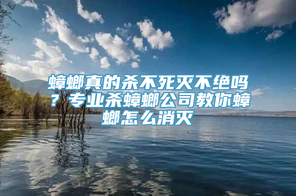 蟑螂真的杀不死灭不绝吗？专业杀蟑螂公司教你蟑螂怎么消灭