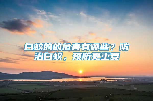 白蚁的的危害有哪些？防治白蚁，预防更重要