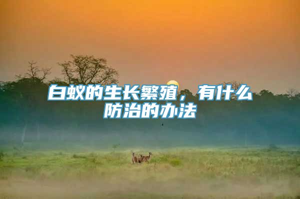 白蚁的生长繁殖，有什么防治的办法