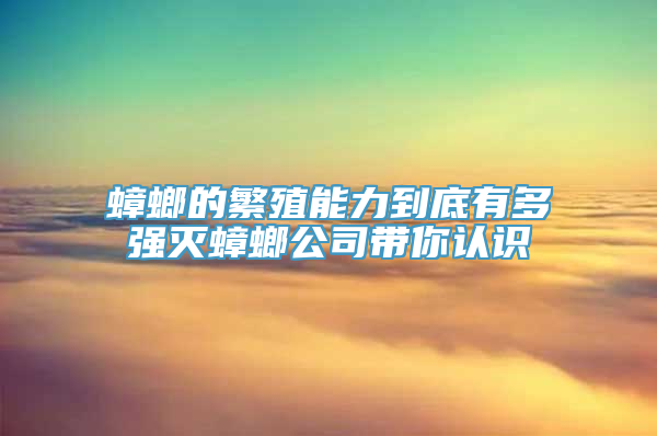 蟑螂的繁殖能力到底有多强灭蟑螂公司带你认识