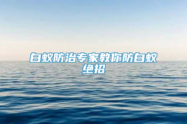 白蚁防治专家教你防白蚁绝招