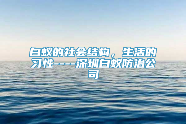 白蚁的社会结构，生活的习性----深圳白蚁防治公司