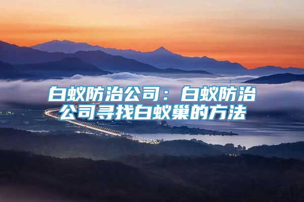 白蚁防治公司：白蚁防治公司寻找白蚁巢的方法