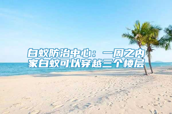 白蚁防治中心：一周之内家白蚁可以穿越三个楼层