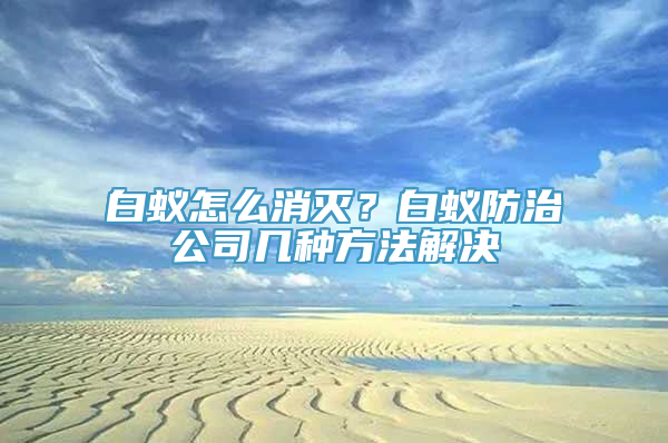 白蚁怎么消灭？白蚁防治公司几种方法解决