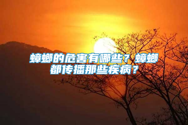 蟑螂的危害有哪些？蟑螂都传播那些疾病？