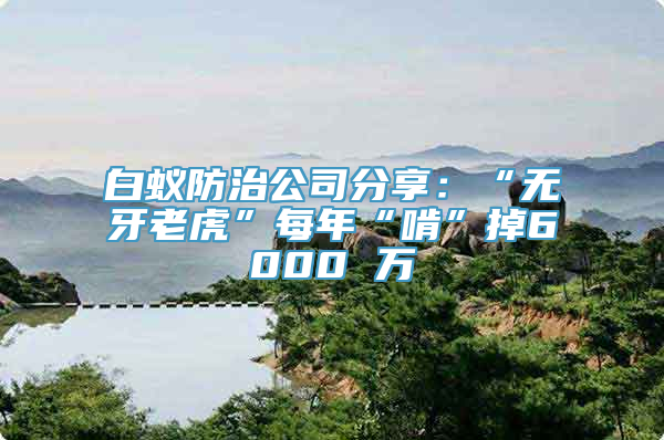 白蚁防治公司分享：“无牙老虎”每年“啃”掉6000 万