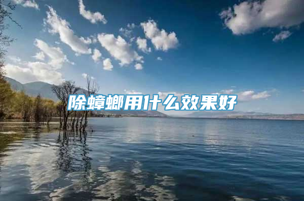 除蟑螂用什么效果好