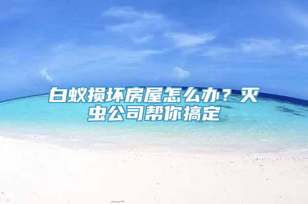 白蚁损坏房屋怎么办？灭虫公司帮你搞定