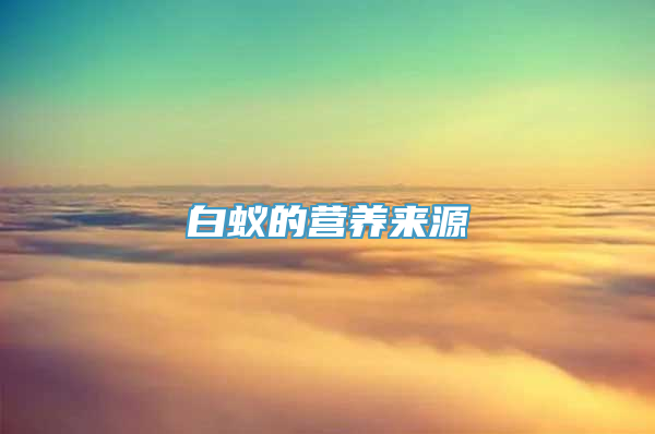 白蚁的营养来源