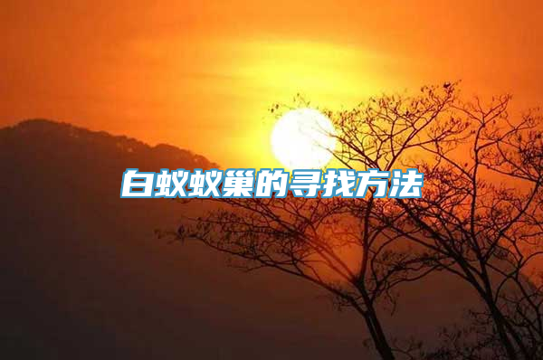 白蚁蚁巢的寻找方法