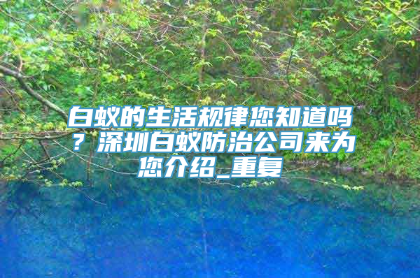 白蚁的生活规律您知道吗？深圳白蚁防治公司来为您介绍_重复