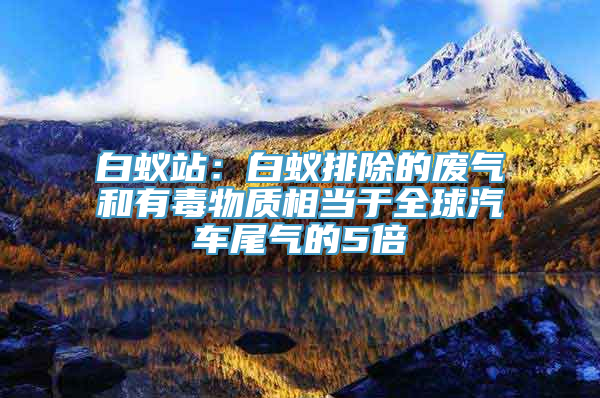 白蚁站：白蚁排除的废气和有毒物质相当于全球汽车尾气的5倍