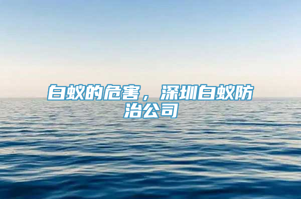 白蚁的危害，深圳白蚁防治公司