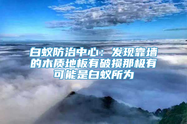 白蚁防治中心：发现靠墙的木质地板有破损那极有可能是白蚁所为